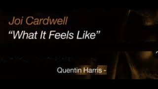 Joi Cardwell - What It Feels Like (Quentin Harris Club Mix)