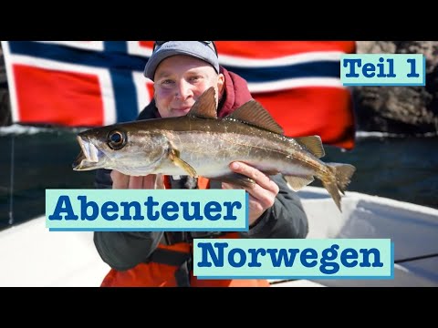Angeln in Südnorwegen auf Pollack, Dorsch und Seelachs mit leichten Ruten | Teil 1
