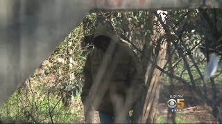 Woman Says She Was Raped by Homeless Man She Was T