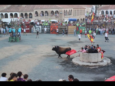 Fotoalbum festejos taurinos