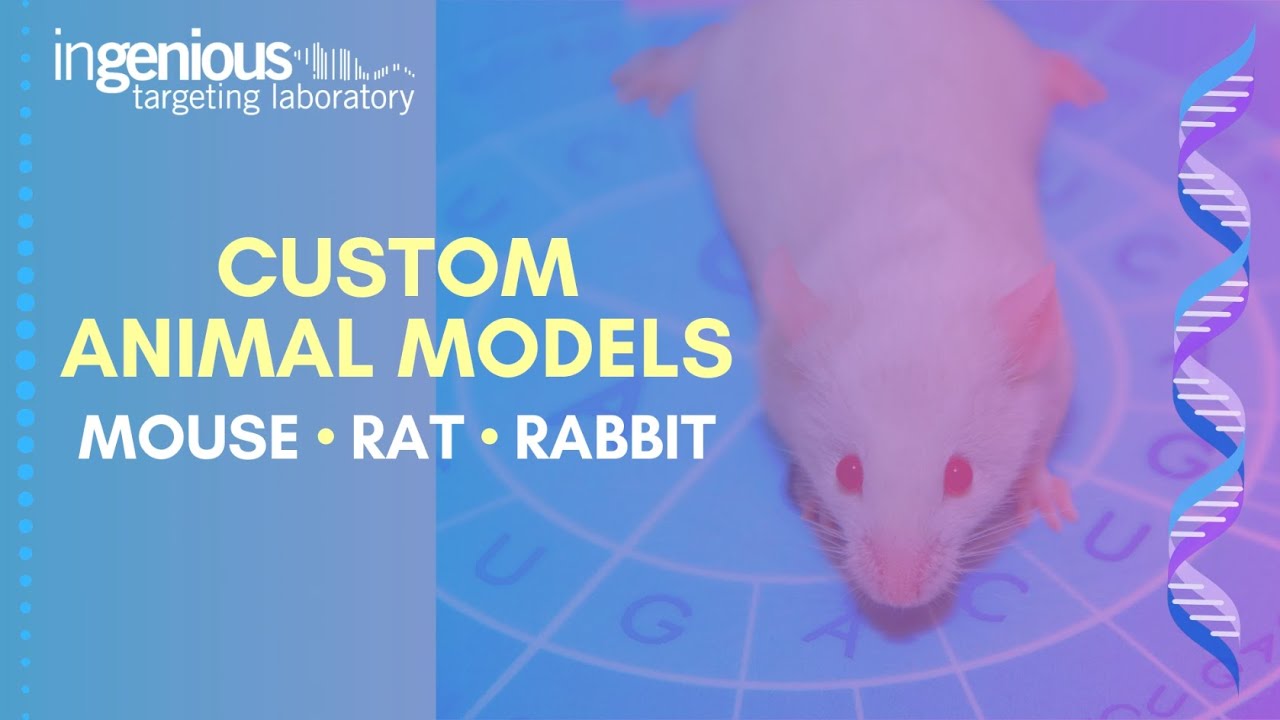 Humanized Immune Checkpoint Models