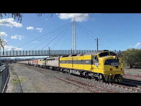 4 Bulldogs on a Grain Train