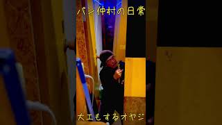 - バン仲村の日常 #ドッキリ #shorts