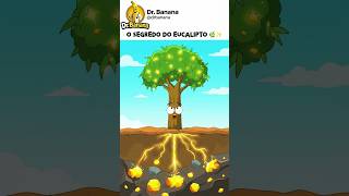 NÃO É Mito: Os Eucaliptos Escondem Ouro nas Raízes?