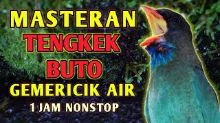 Download lagu Masteran Suara Burung Tengkek Buto Gacor Durasi Panjang Dengan Gemericik Air mp3 Download lagu Masteran Suara Burung Tengkek Buto Gacor Durasi Panjang Dengan Gemericik Air mp3