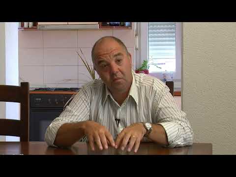 Osobna sjećanja novinara Antona Hauswitschke