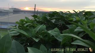 Download lagu So 7 alasanku cover vidio mp3