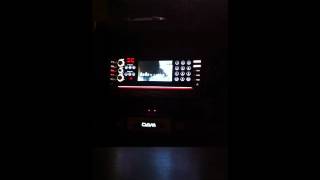 a song dedicated/PUSHIM(Dancing cat)