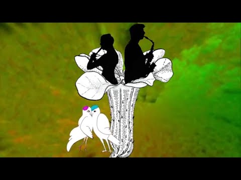 La Trampera de Anibal "Pichuco" Troilo - Milonga - Tango - Animación