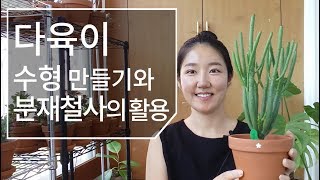 다육이 수형 만들기와 분재철사의 활용 방법 succulent 179화 #해맑은TV
