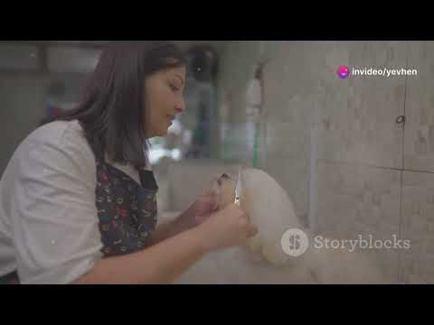 Ultimate Guide to Cats & Dogs Care!