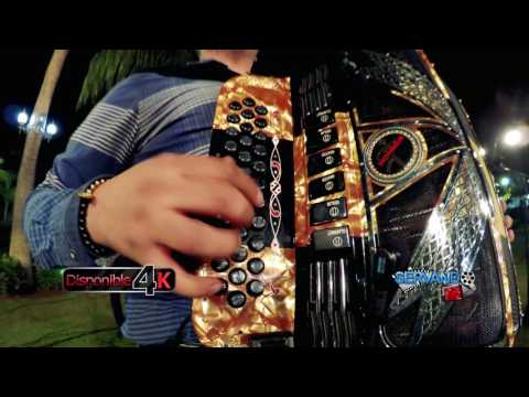 Evolucion Quattro - El Fresita (En Vivo 2017)