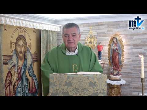 "El cielo Existe y el infierno También" | Homilía, Miércoles, XXIII Semana del Tiempo Ordinario (09-09-2026) | P. Santiago Martín, FM