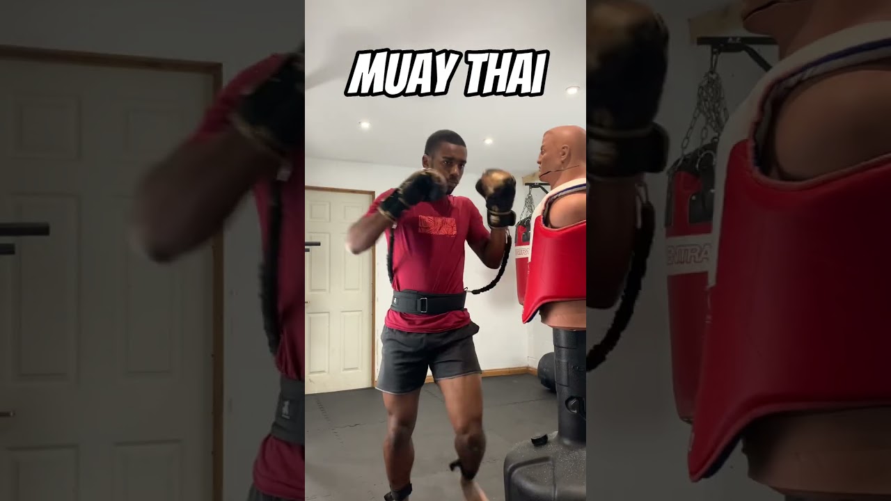 WHICH MARTIAL ART IS BEST?