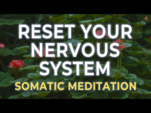 Vagus Nerve Reset Meditation | Somatic Practice for Deep Nervous System Renewal