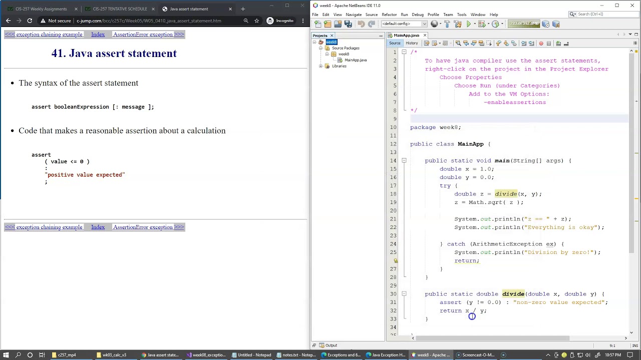 8.9 Java assert statement and AssertionError exception