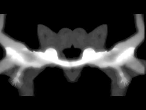 Gotye - Somebody That I Used To Know (feat. Kimbra)