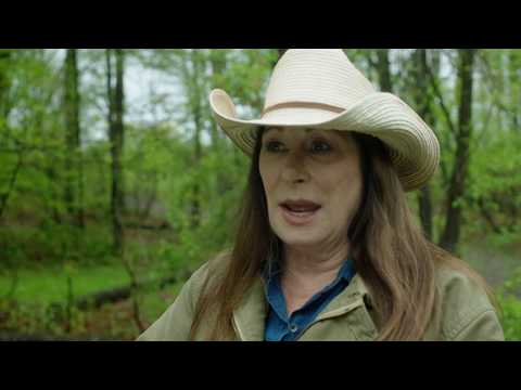 Trouble (Trailer)