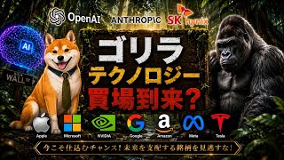 【米国株】ゴリラテクノロジー暴落！