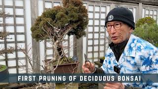 Download lagu First Pruning of Deciduous Bonsai mp3 Download lagu First Pruning of Deciduous Bonsai mp3