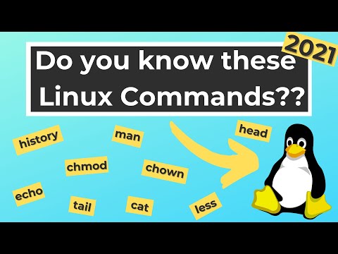 32 Linux Commands Every Software Developer Should Know In 2021 (Part 1)