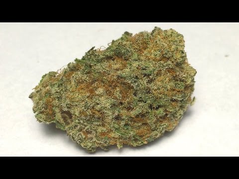 "Chocolate Kush" - (Strain Review)