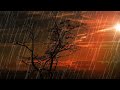 1 Hour Orange Sky Rain Relaxation Sounds ASMR Stress Relief