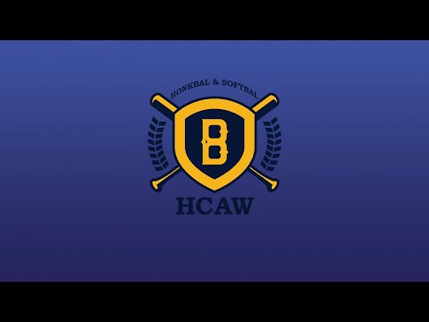 HCAW/Zuidvogels DS1 - Cheetahs DS1