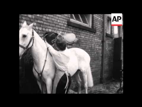 MANCHESTER - IN THE FORCE WITH A HORSE