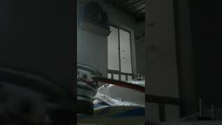 Pardo veloster x mineirinha