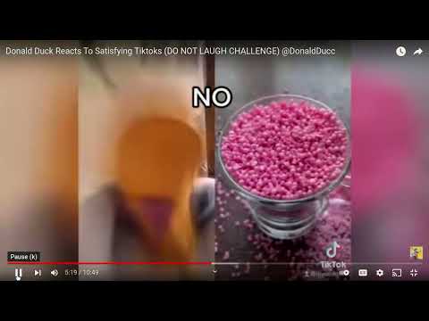 Me when CatPop got a community tab