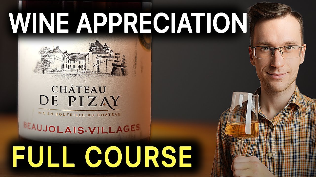 The Ultimate Wine Course from a PRO Sommelier in 89 Minutes