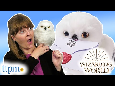 HARRY POTTER Hario Poterio pelėda Hedviga, 30 cm video