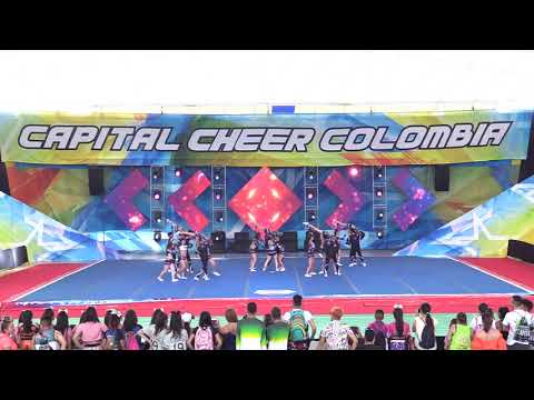 115  NPC Btá N3 Open MX