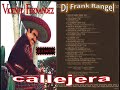 vicente fernandez callejera (dj frank rangel)