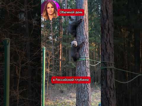 Обычный день в Российской глубинке (перевод Томи Ларен)