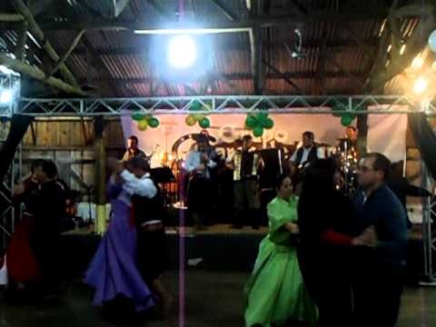 Marca de Campo-festeiro tipo bicho.