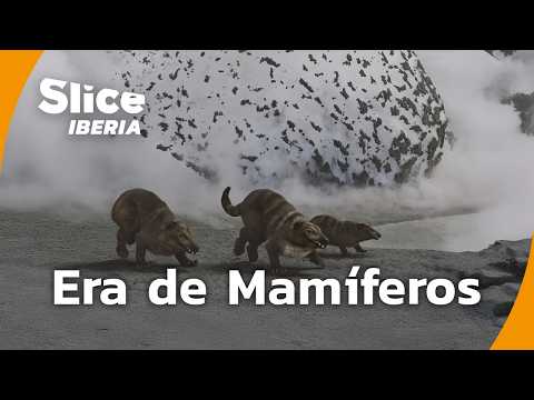 Así Eran los Primeros Mamíferos de la Tierra | SLICE Iberia | DOCUMENTAL COMPLETO