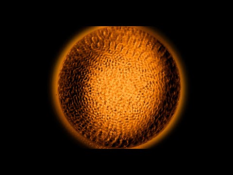 Coronavirus Spike Protein Vibrations Materialized in Water: MERS, SARS, COVID-19 and G614 mutation