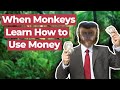 What Happens When Monkeys Learn How To Use Money