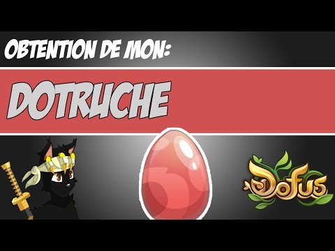 comment monter petit chienchien noir dofus