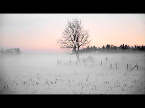 Illesnoise - #5 Sunday Stories