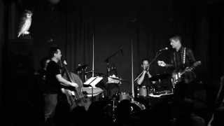 NELS CLINE SINGERS: "Sascha's Book of Frogs", The Windup Space, Baltimore, 5/3/2014, (Set 1, Part 4)