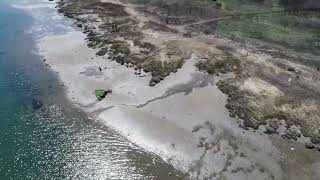 Salt Marsh Project