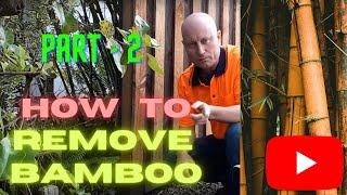 HOW TO REMOVE BAMBOO ROOTS FROM THE GROUND PART 2