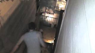 My dog Toaster was attacked by a raccoon