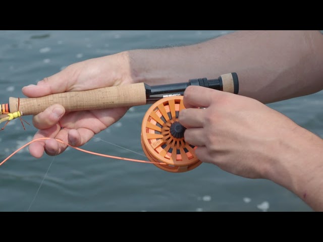 Fly Fishing for Beginners: Want to Learn the Art of Casting? Here’s Exactly How I Started! 🎣