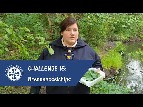 Challenge 15: Brennnesselchips (Pfadfinder & Pfadranger) - Royal Rangers Hamburg #n2tohuusaward
