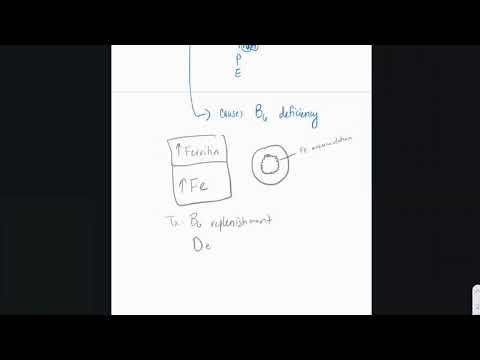 USMLE Crash Course - Sideroblastic Anemia Part 2 - Step 1 / Step 2 CK