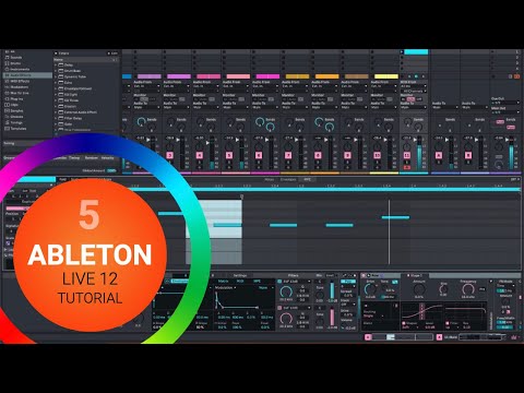 Ableton Live #5 Warp Audio